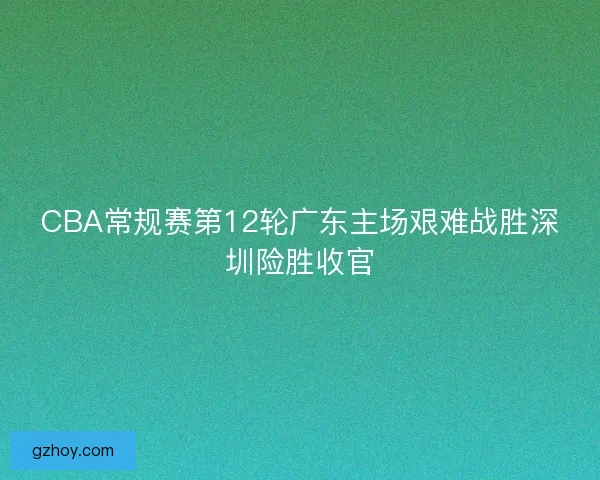CBA常规赛第12轮广东主场艰难战胜深圳险胜收官